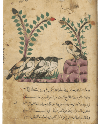 Der Rabenkönig. Aus: Kalila wa Dimna, Ägypten, 1310 (München, Bayerische Staatsbibliothek, Cod. Arab. 616, folio 86r), ravens, Kalila wa Dimna, Egypt, 709 AH/1310 CE