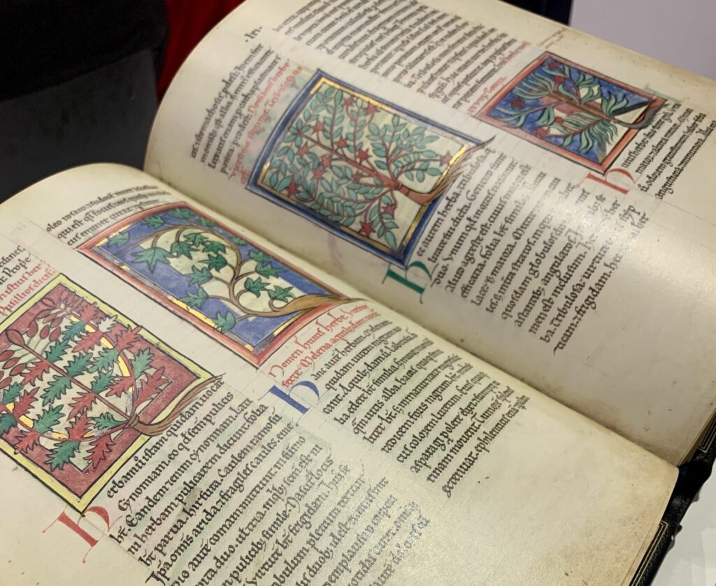 FBM23_22 Aufgeschlagene Fakisimile-Edition "Von Pflanzen und Tieren - ein mittelalterliches Hausbuch". Die Seite zeigt vier kleinere Miniaturen, in denen Pflanzen abgebildet sind. Darunter sind diese Heilkräuter auf Latein erläutert.