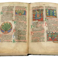 Aufgeschlagene Faksimile-Ausgabe Von Pflanzen und Tieren. Es zeigt eine Doppelseite mit fünf kleineren Miniaturen, die stillvollgemalte Pflanzen zeigen. Die Titelseite zeigt einen Ausschnitt von Folio 25v.