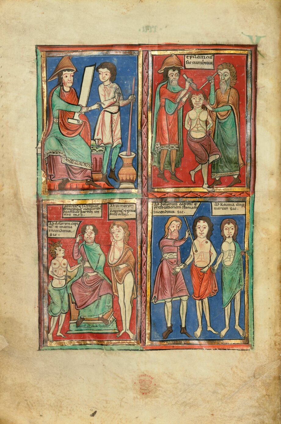 A fine art single page from the facsimile About Plants and Animals, which shows folio 91v: Medicinal Production and Medical Treatments.
