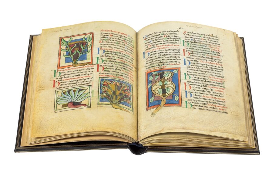 Aufgeschlagene Faksimile-Ausgabe Von Pflanzen und Tieren. Es zeigt eine Doppelseite mit vier kleineren Miniaturen, die stillvollgemalte Pflanzen zeigen. Das Bild zeigt einen Ausschnitt von Folios 59v und 60r.